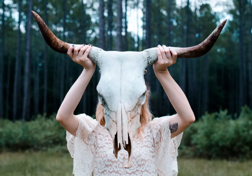 assistant director asf jobs fpsc