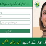 BISP Check Balance Online by CNIC 2026