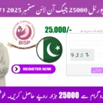 BISP 8171 Online Check Balance
