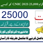 ehsaas program cnic check online 25000