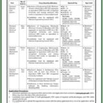 paa job apply online