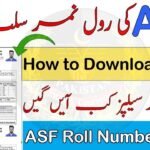 ASF Roll No Slip
